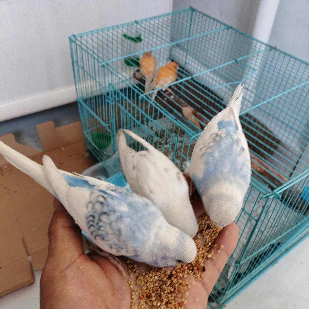 健康快乐😂😂😂