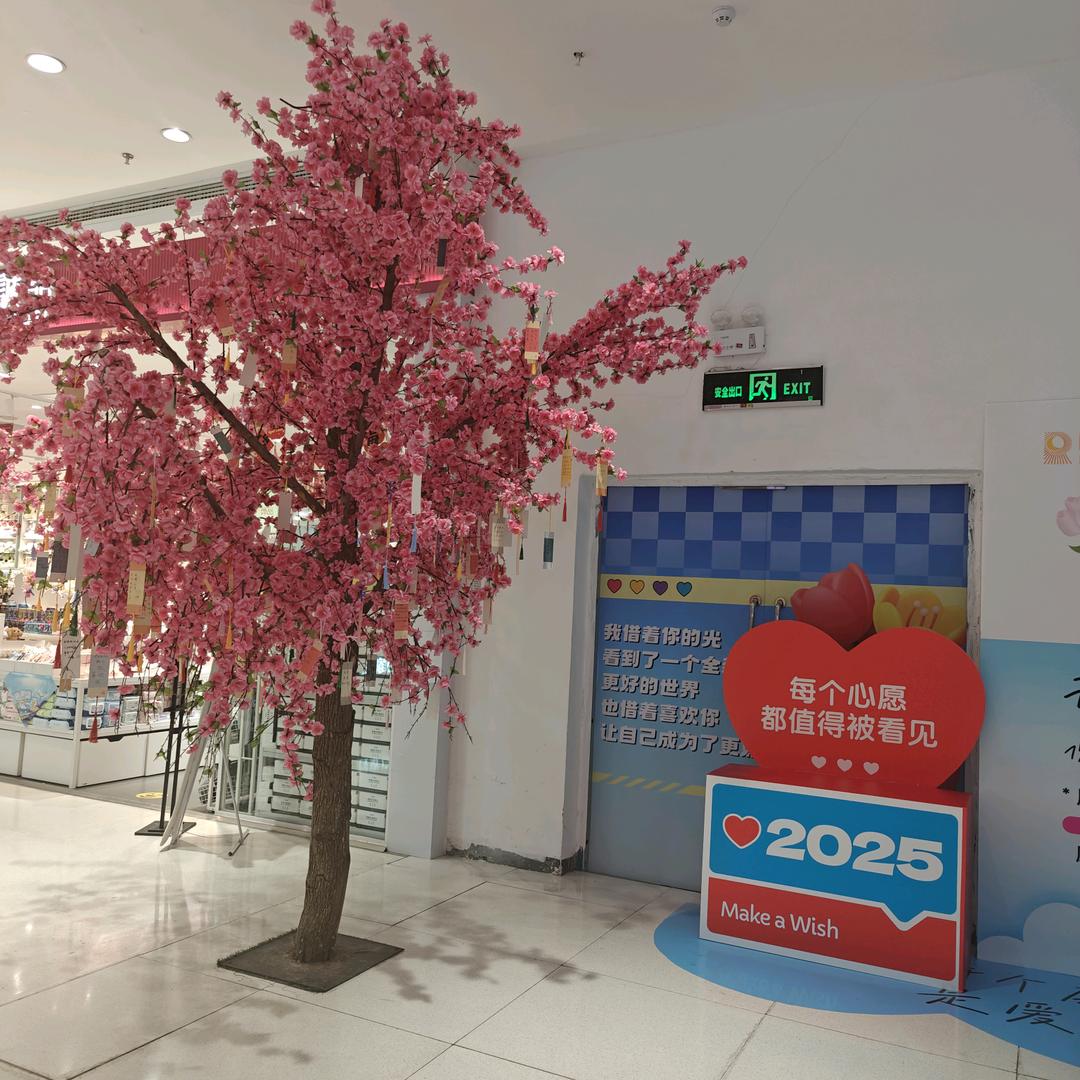 🌈🌈奔腾小野猫