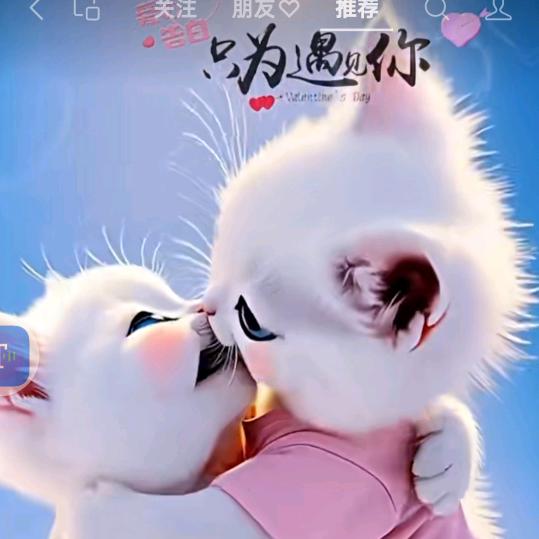 ♥♥笨蛋♥宝贝♥♥