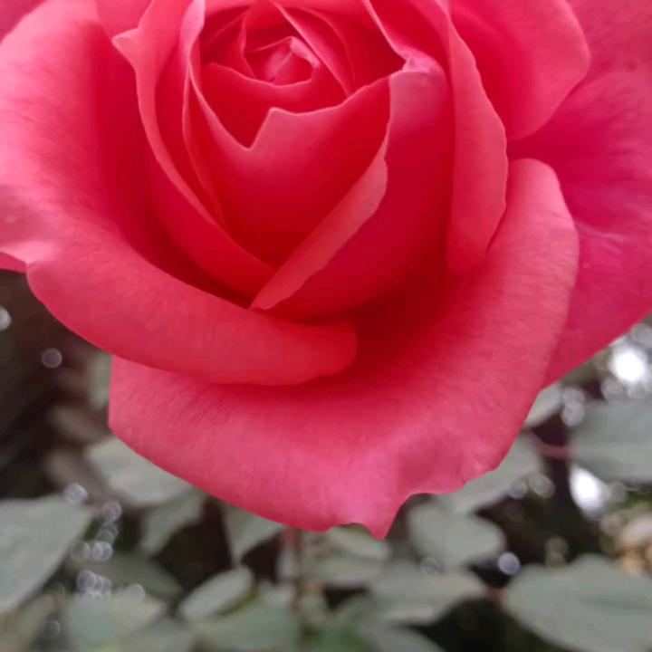 开👭心💑快👫乐💑