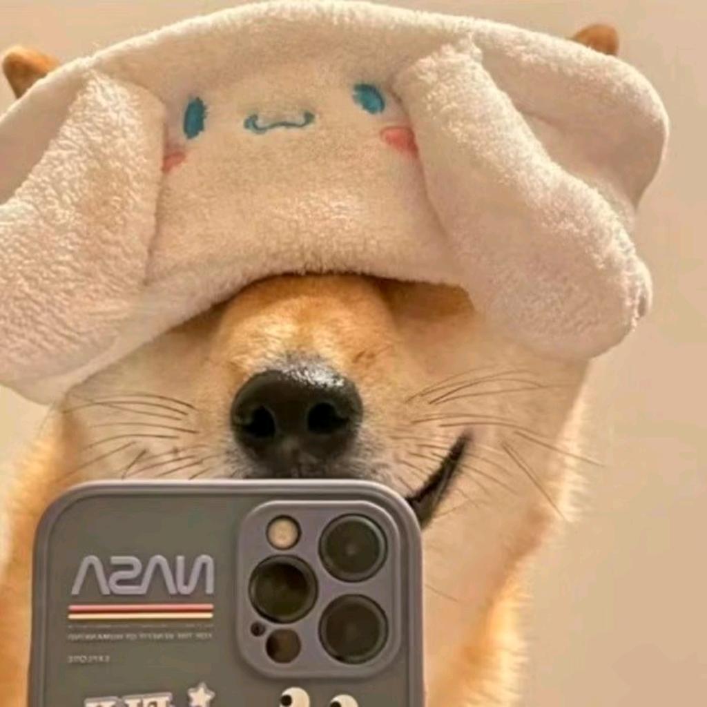 ʚʕ̯•͡˔•̯᷅ʔɞ番茄不炒蛋