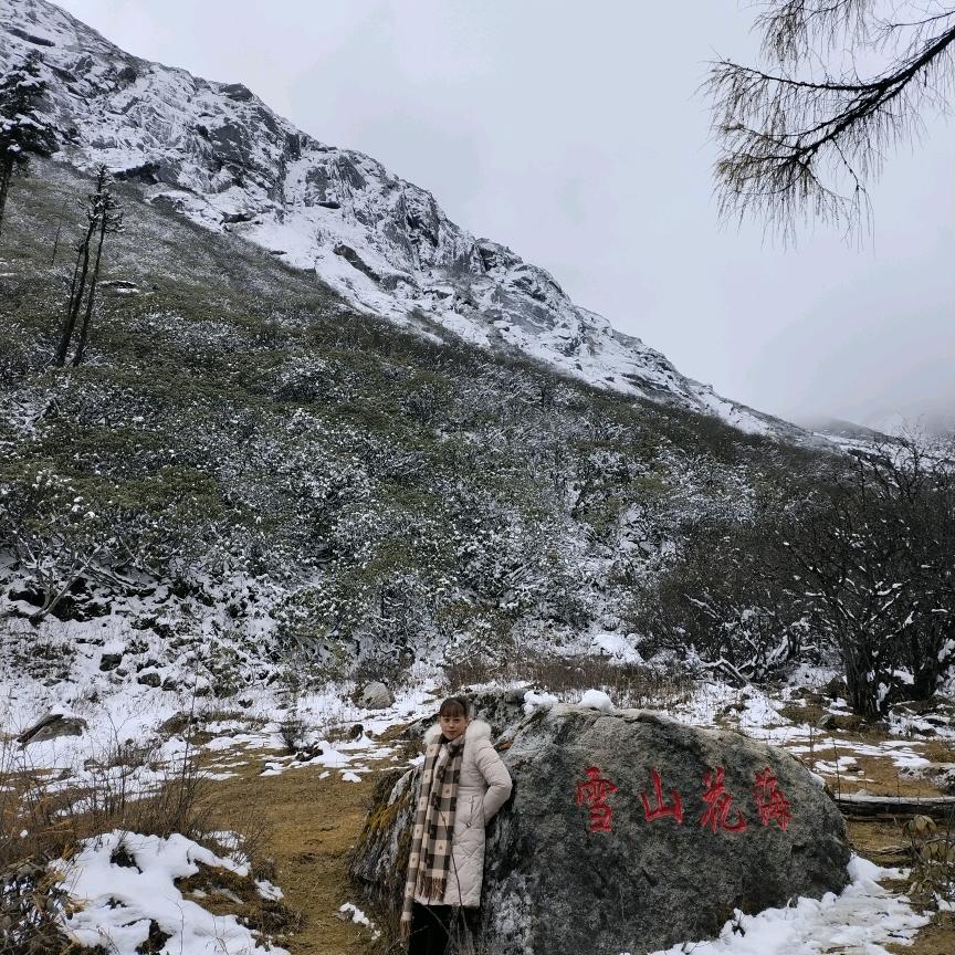 好心态——好心情