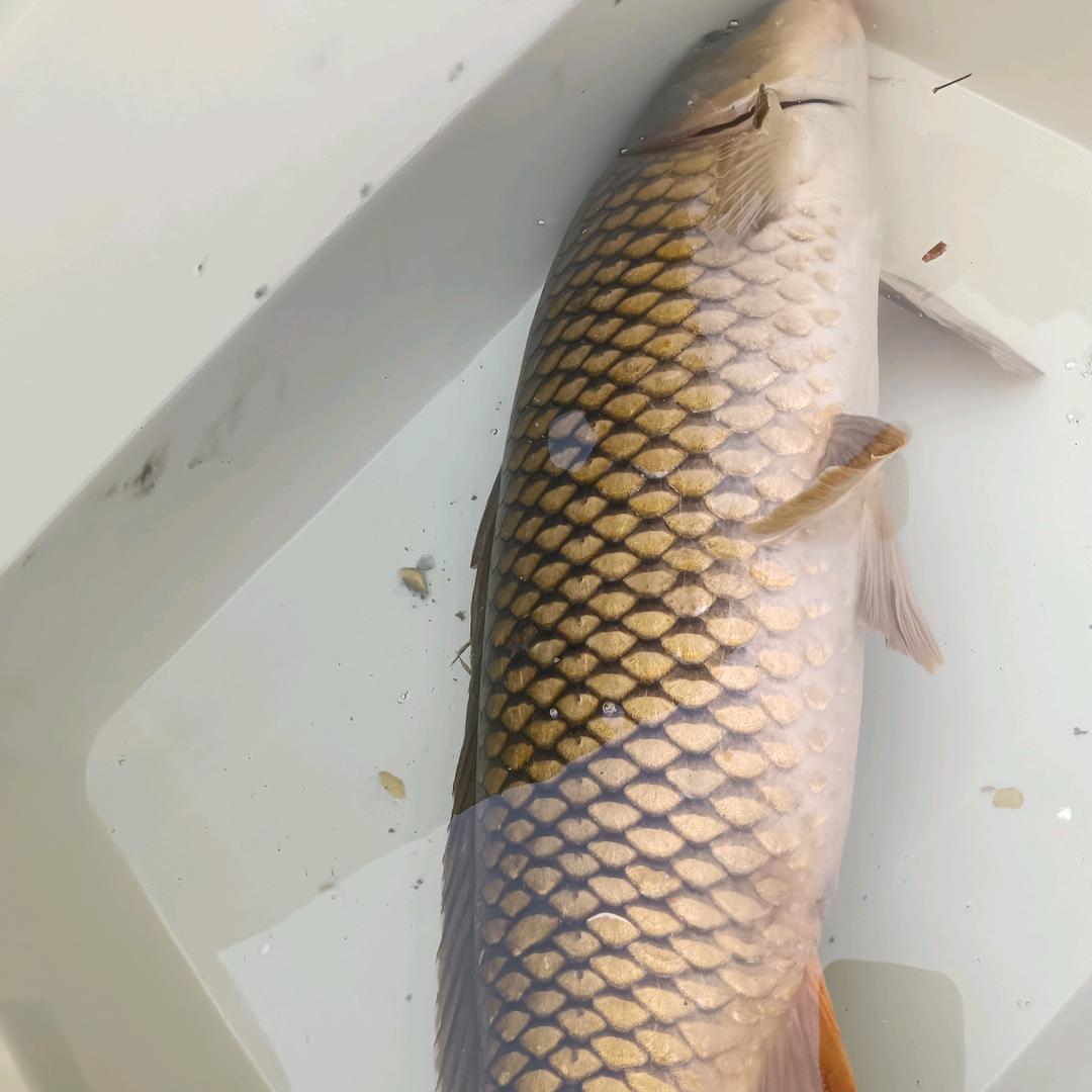 用户9336268839156三哥