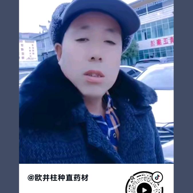 欧井柱种直药材