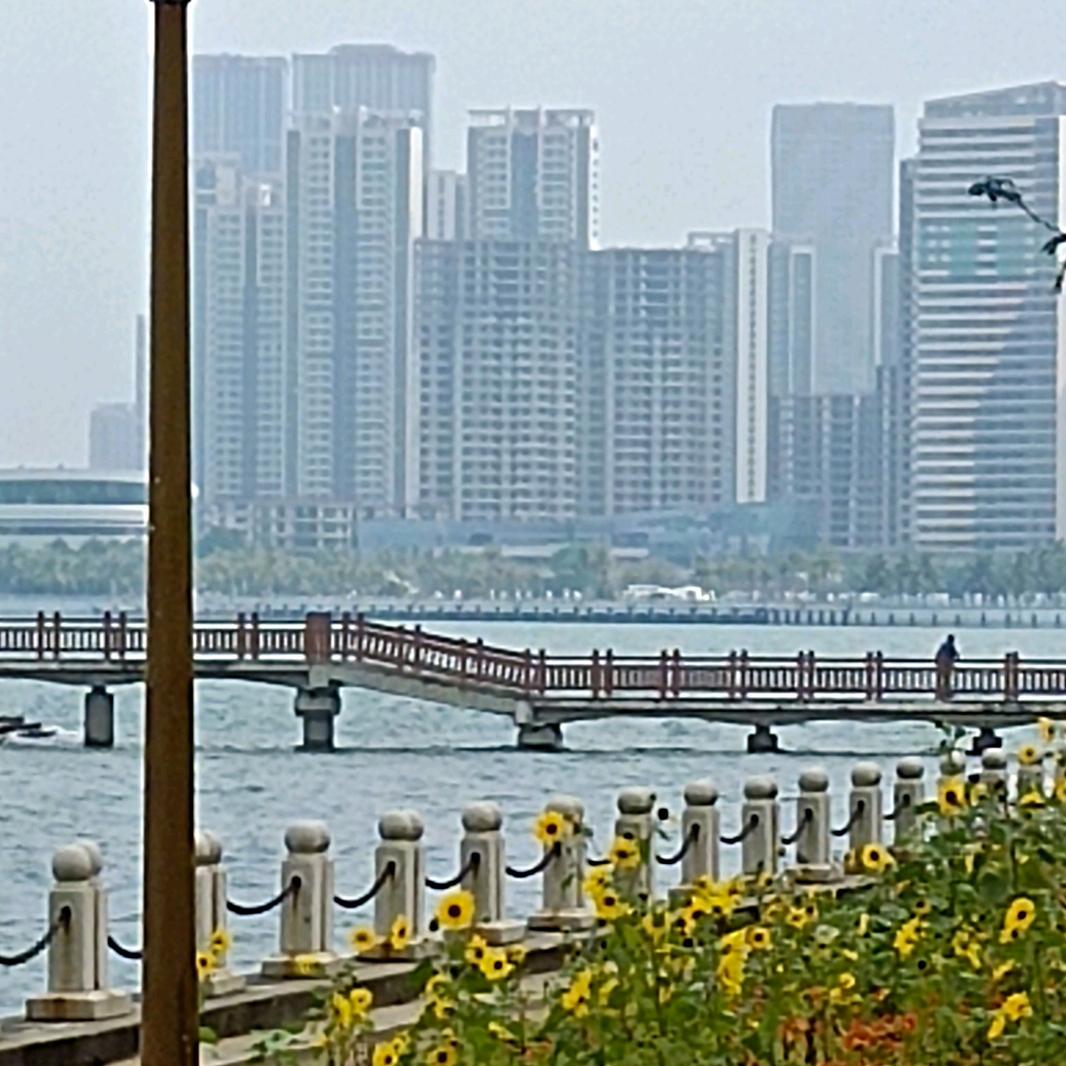 鸿运当头
