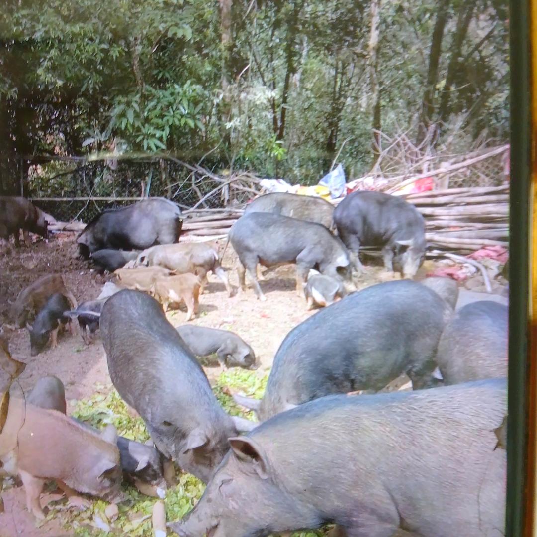 亿隆优选（佛山店）