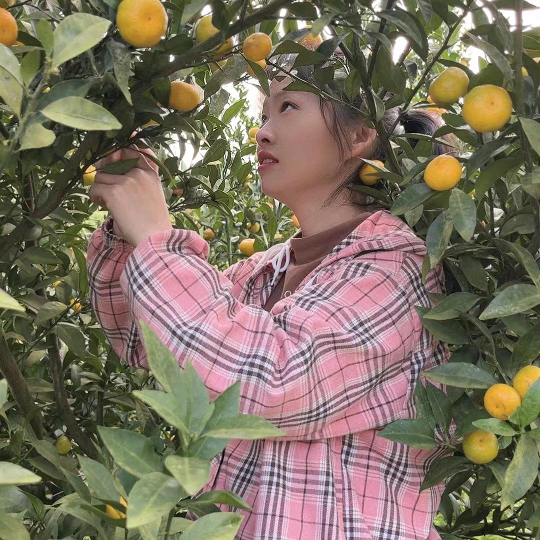 小麻雀