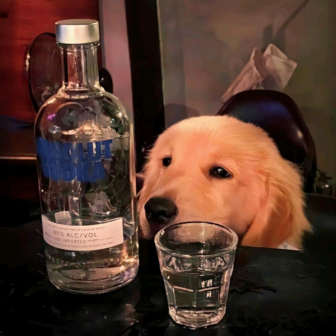 朢林