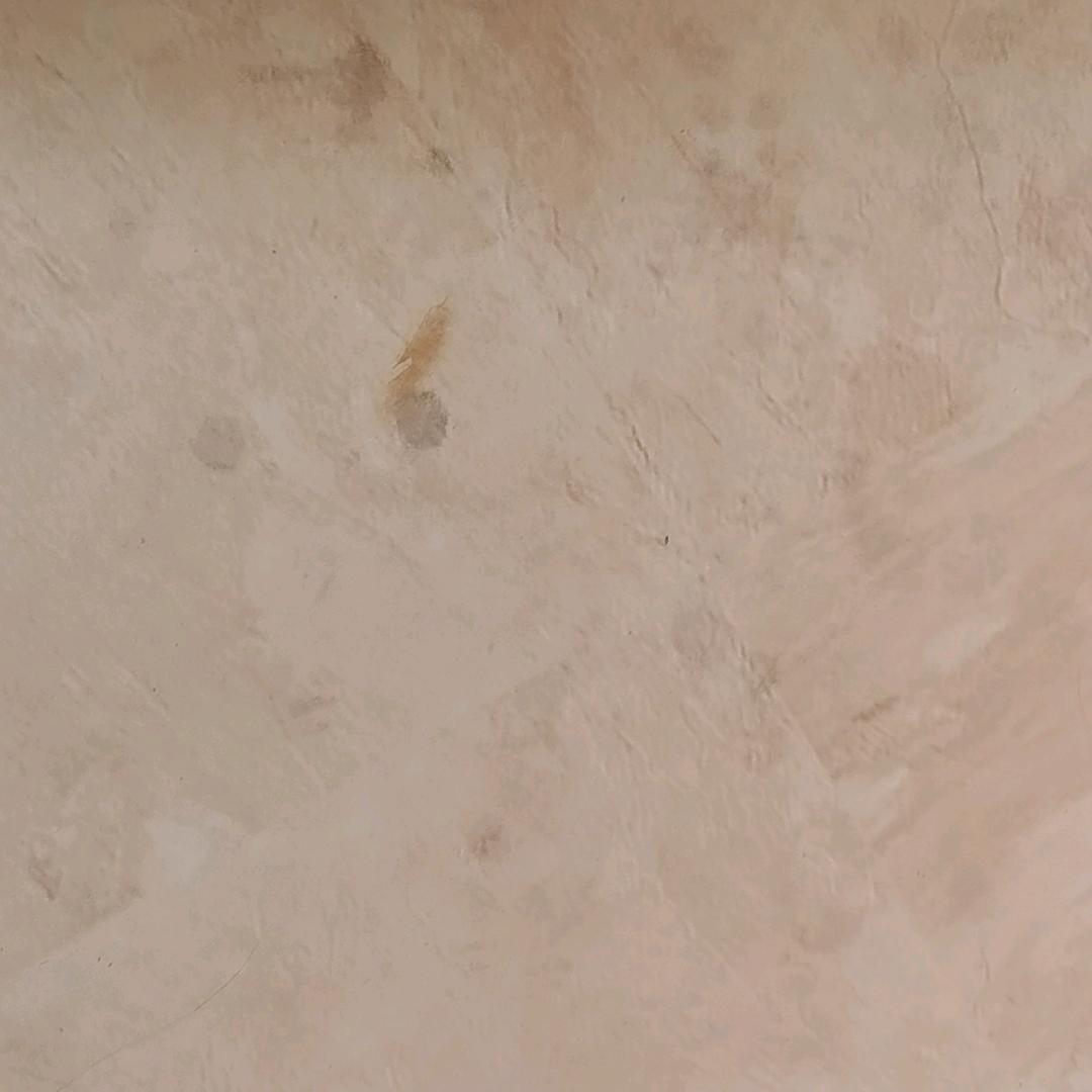 用户1341864895898