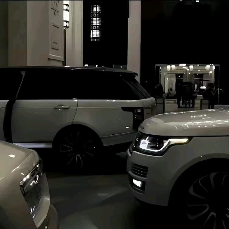 太子辉《豪车租赁》青-甘-川-藏-疆