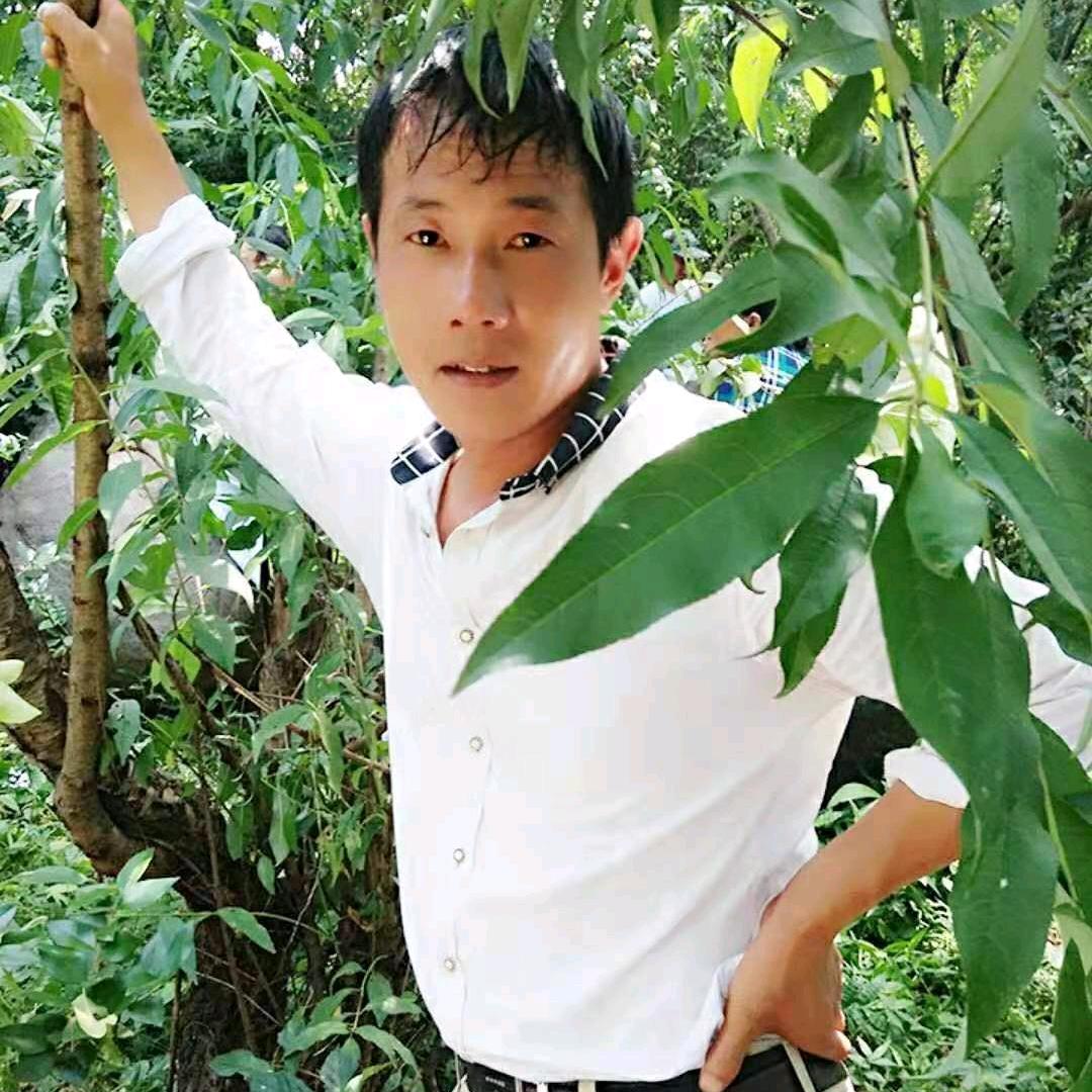 农村人215