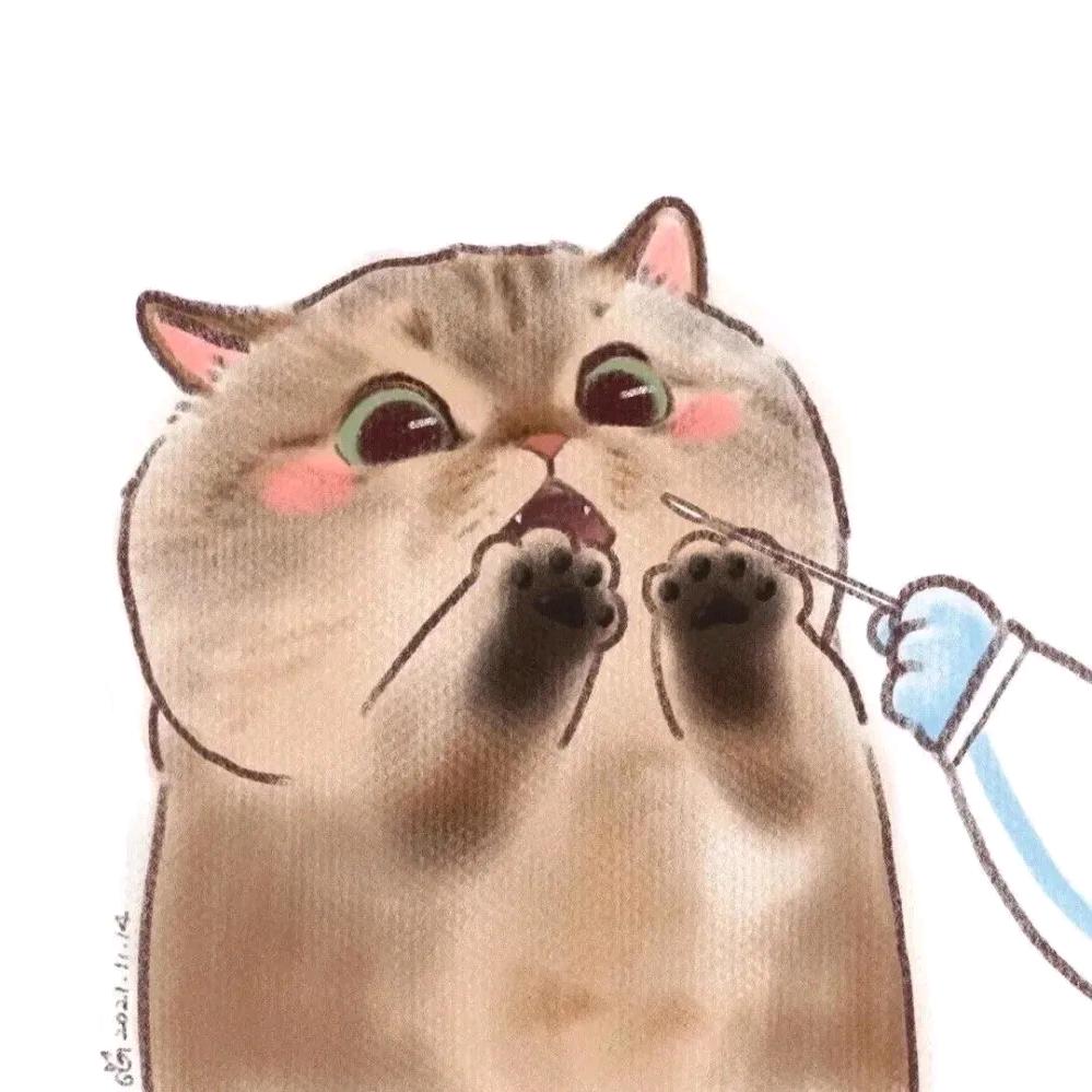 小狸猫