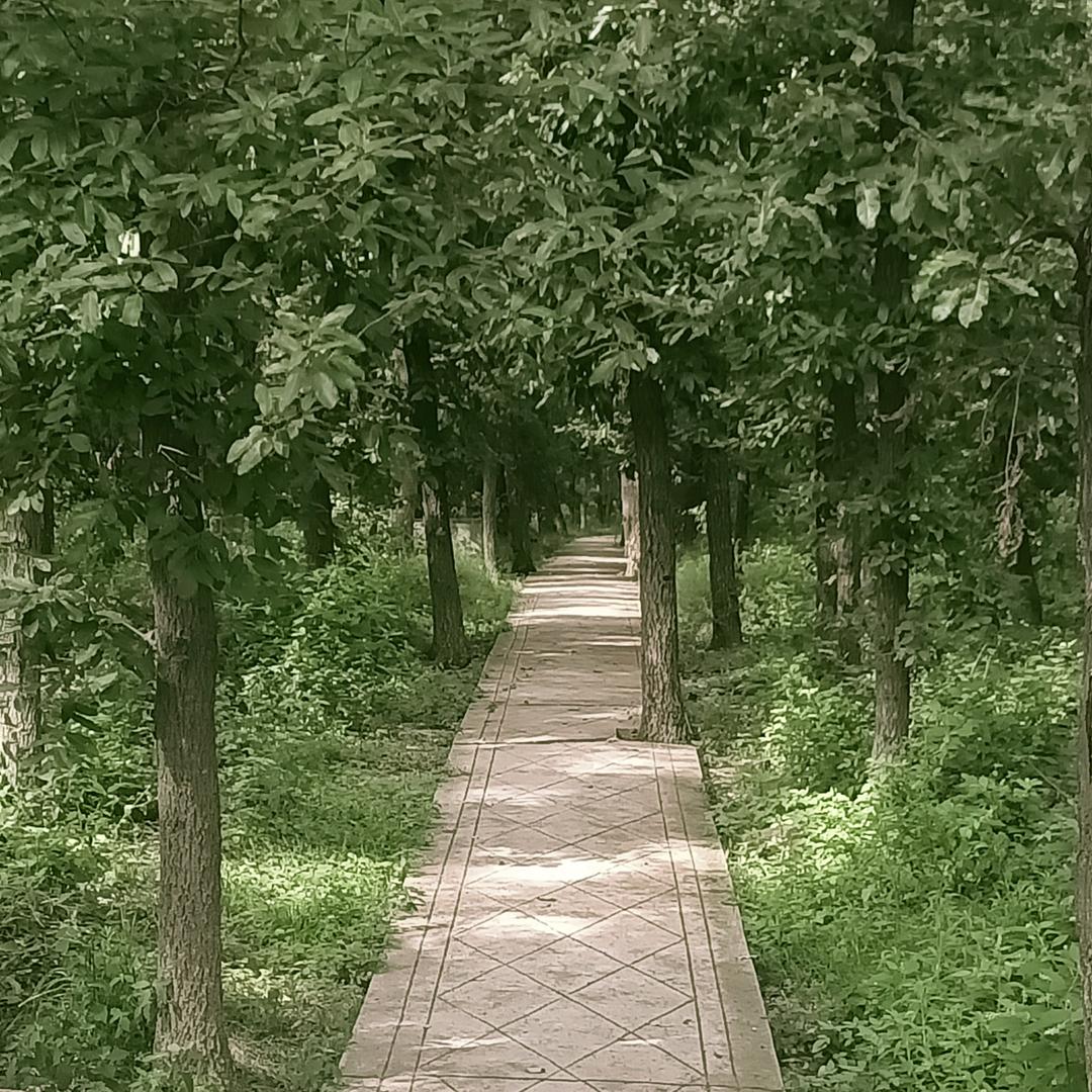 ☞<鱼在天上飞>☞