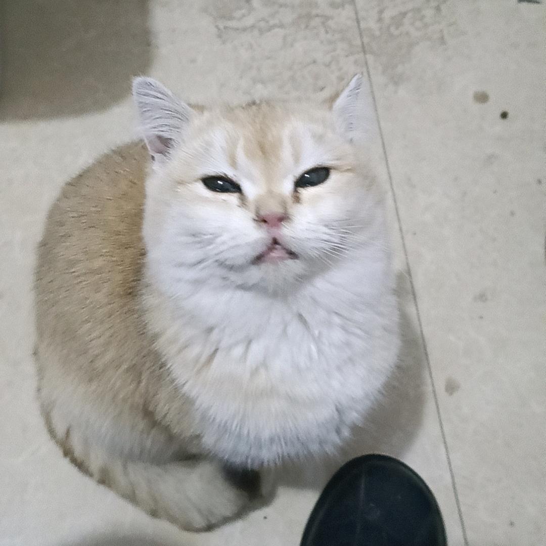 春天的风