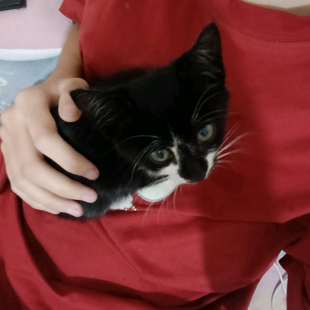 小妖妹