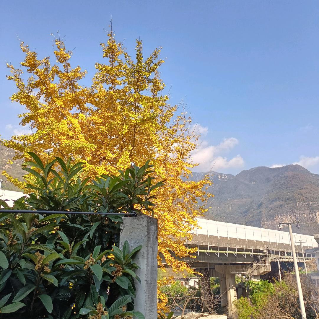 过好每一天🌹