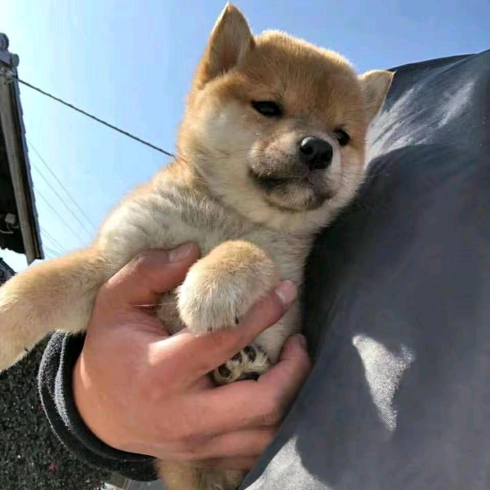 凉爽.