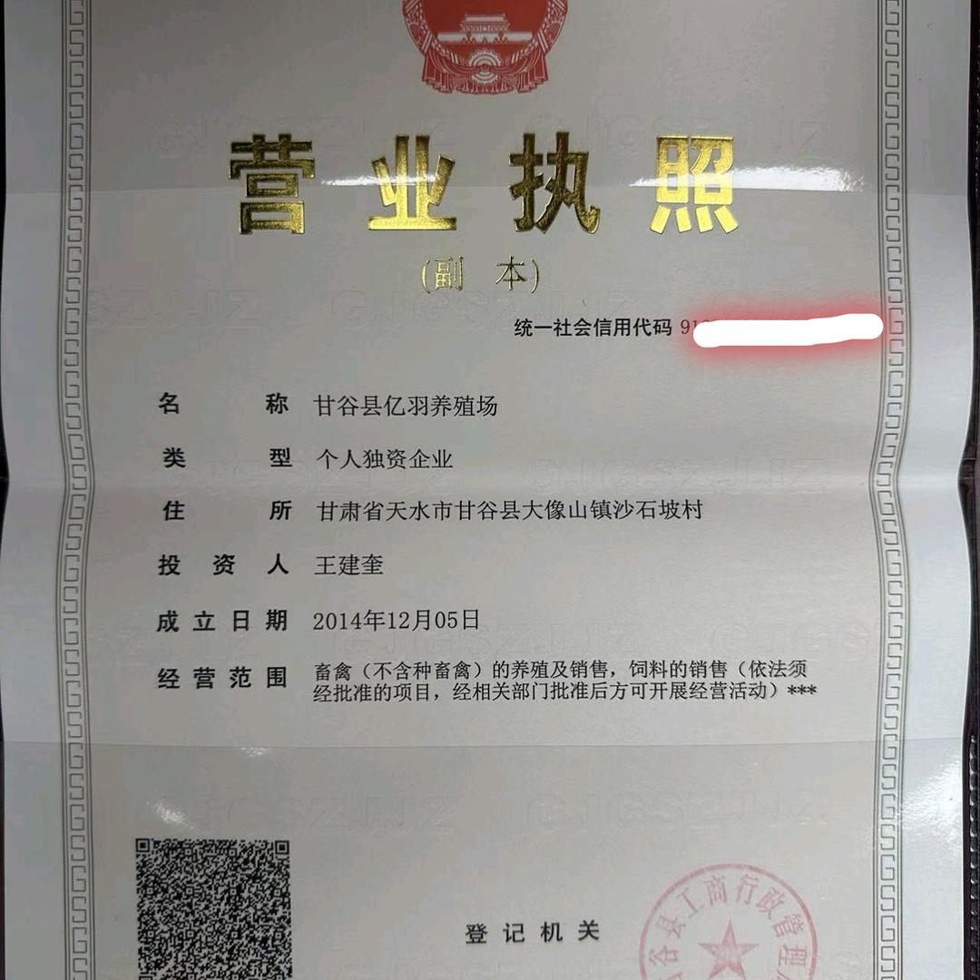 甘谷亿羽