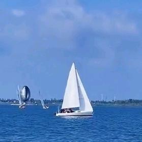 大海知音613