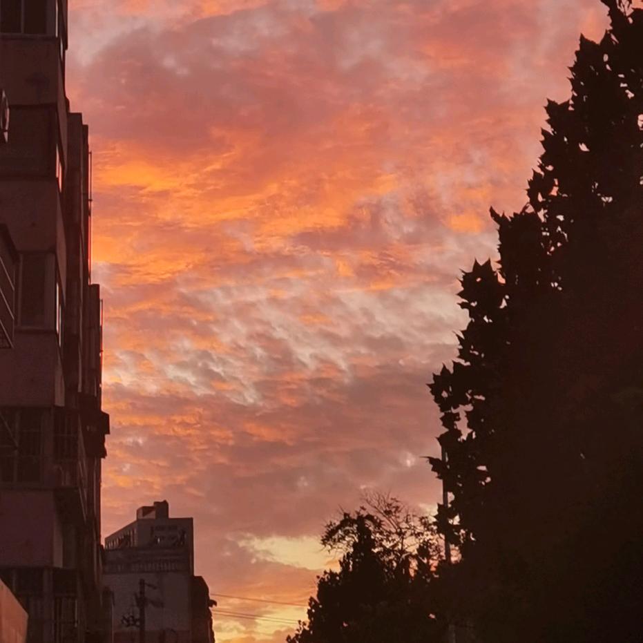 🌈一路向北