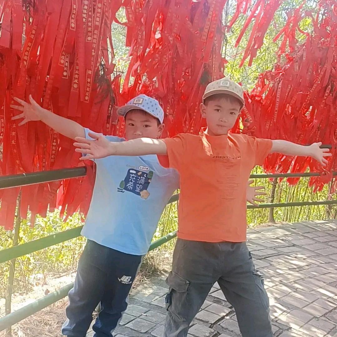 西兰花小杨