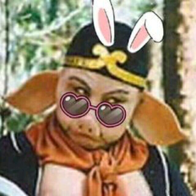 干饭少女猪刚鬣
