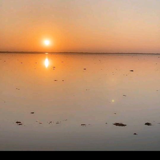 平平淡淡才是真ヾ(❀╹◡╹)ﾉﾞ❀~