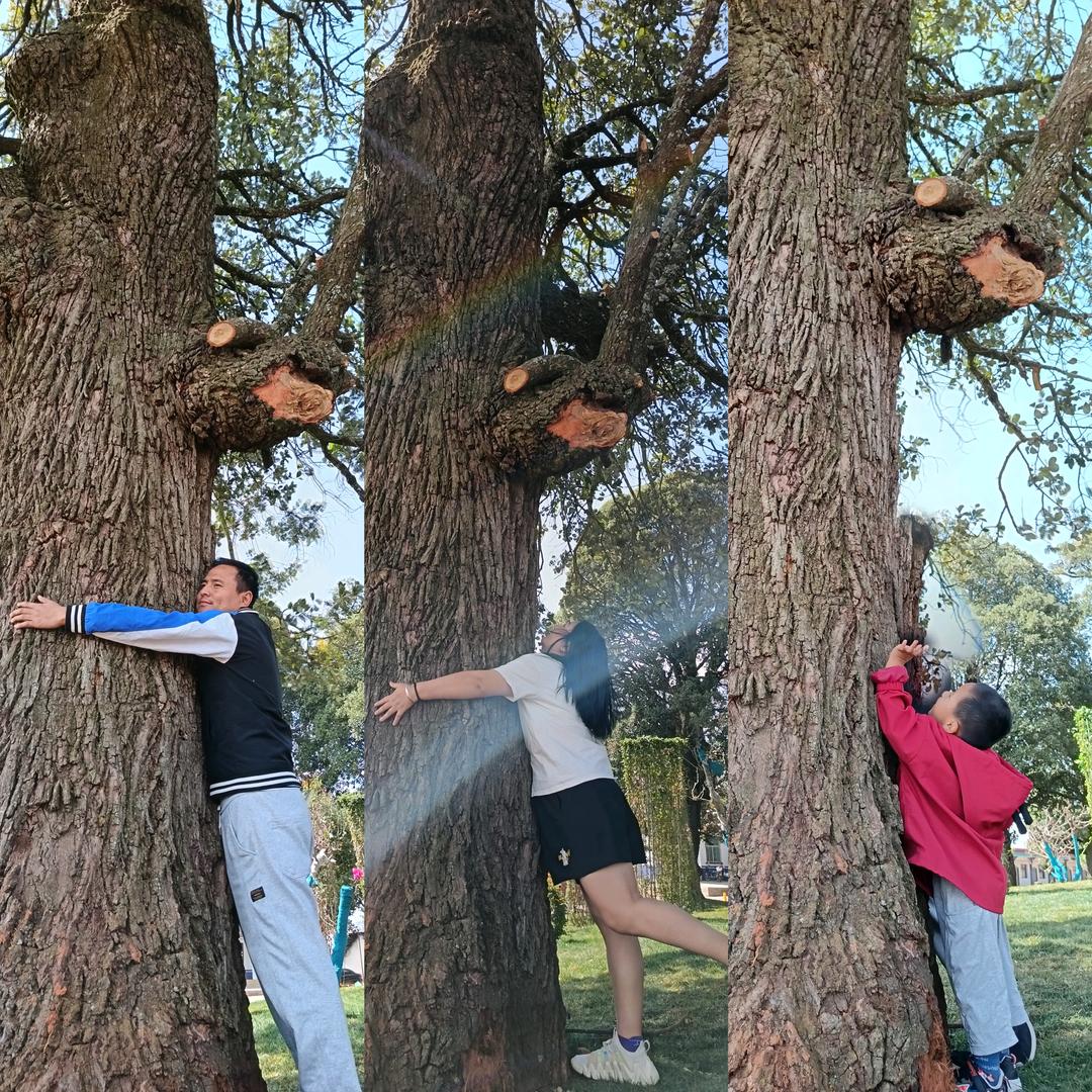 优于过去的自己