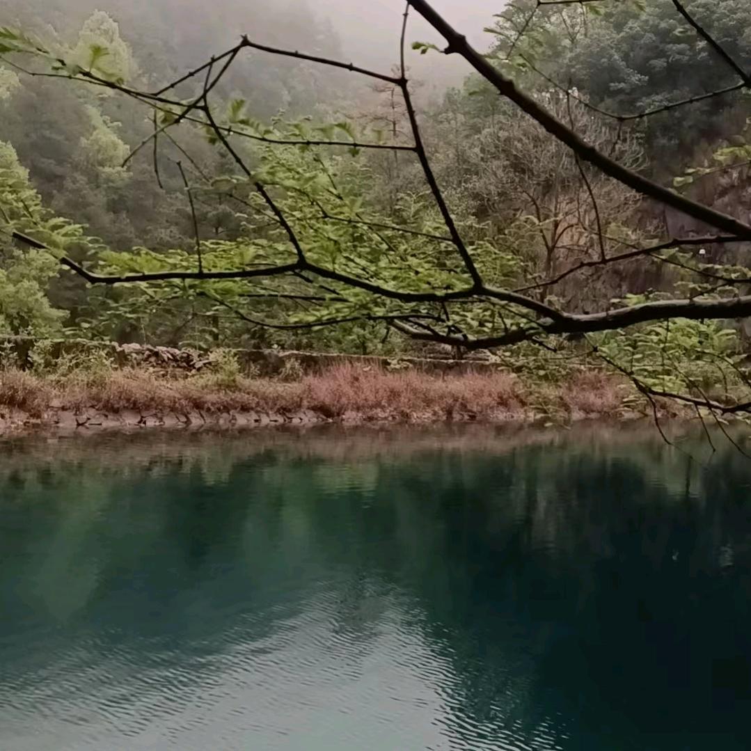 一帆风顺