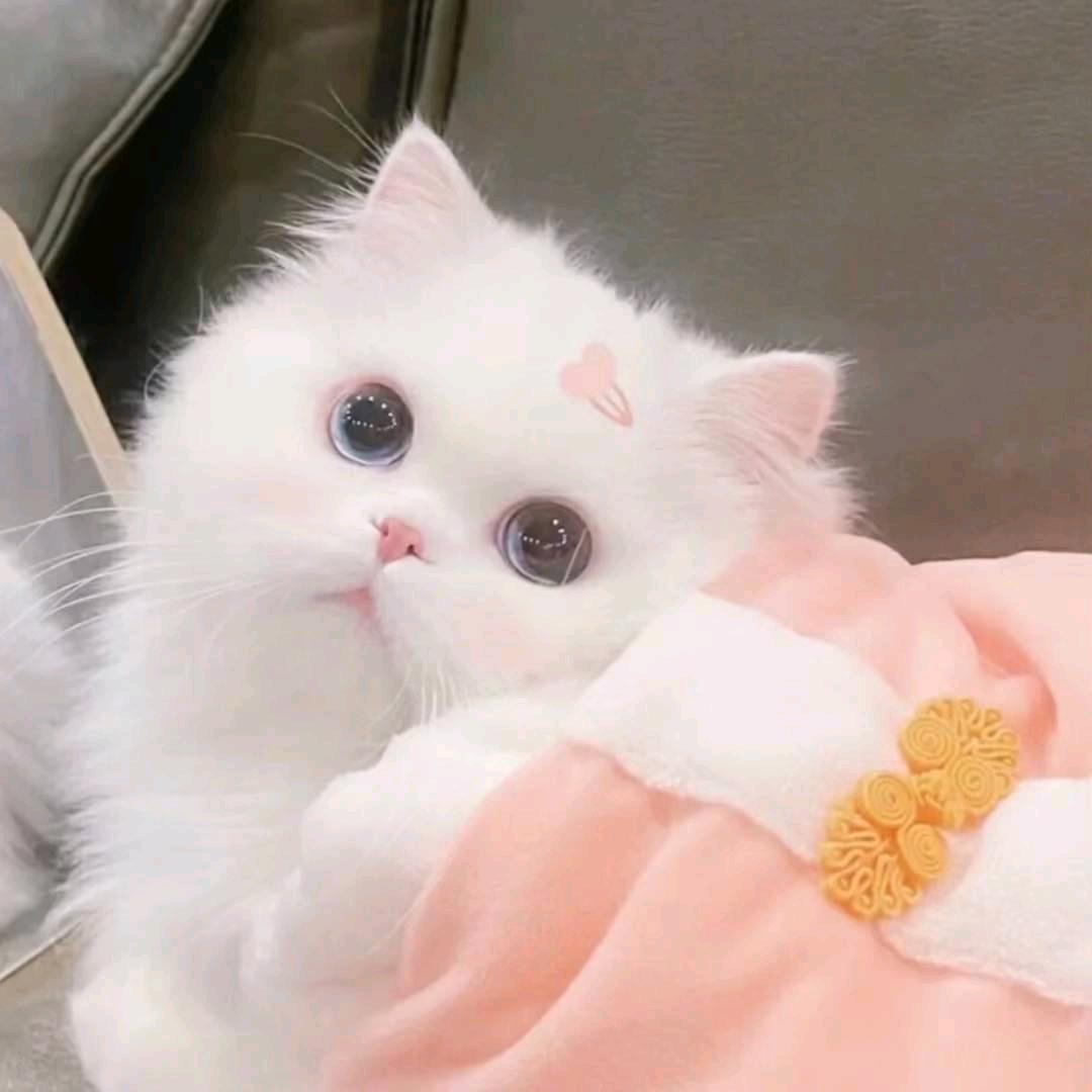竹子