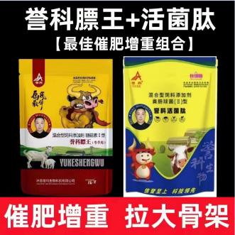 誉科膘王源头厂家肖肖