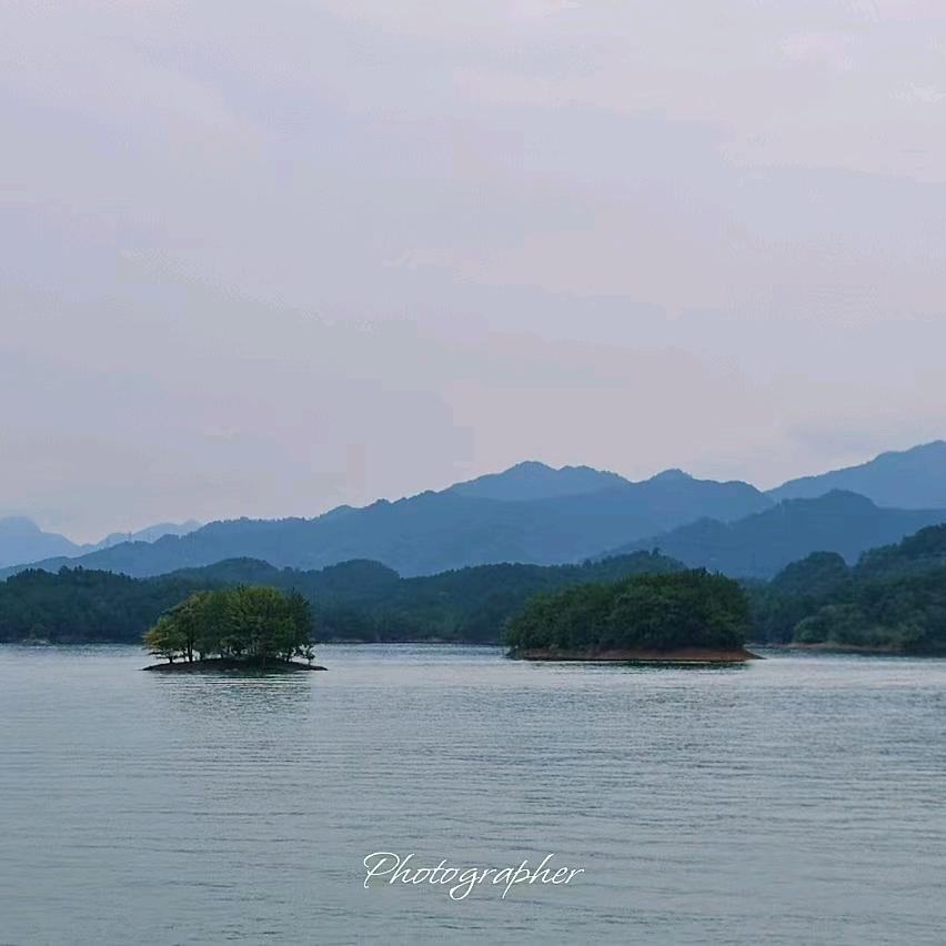 勿念