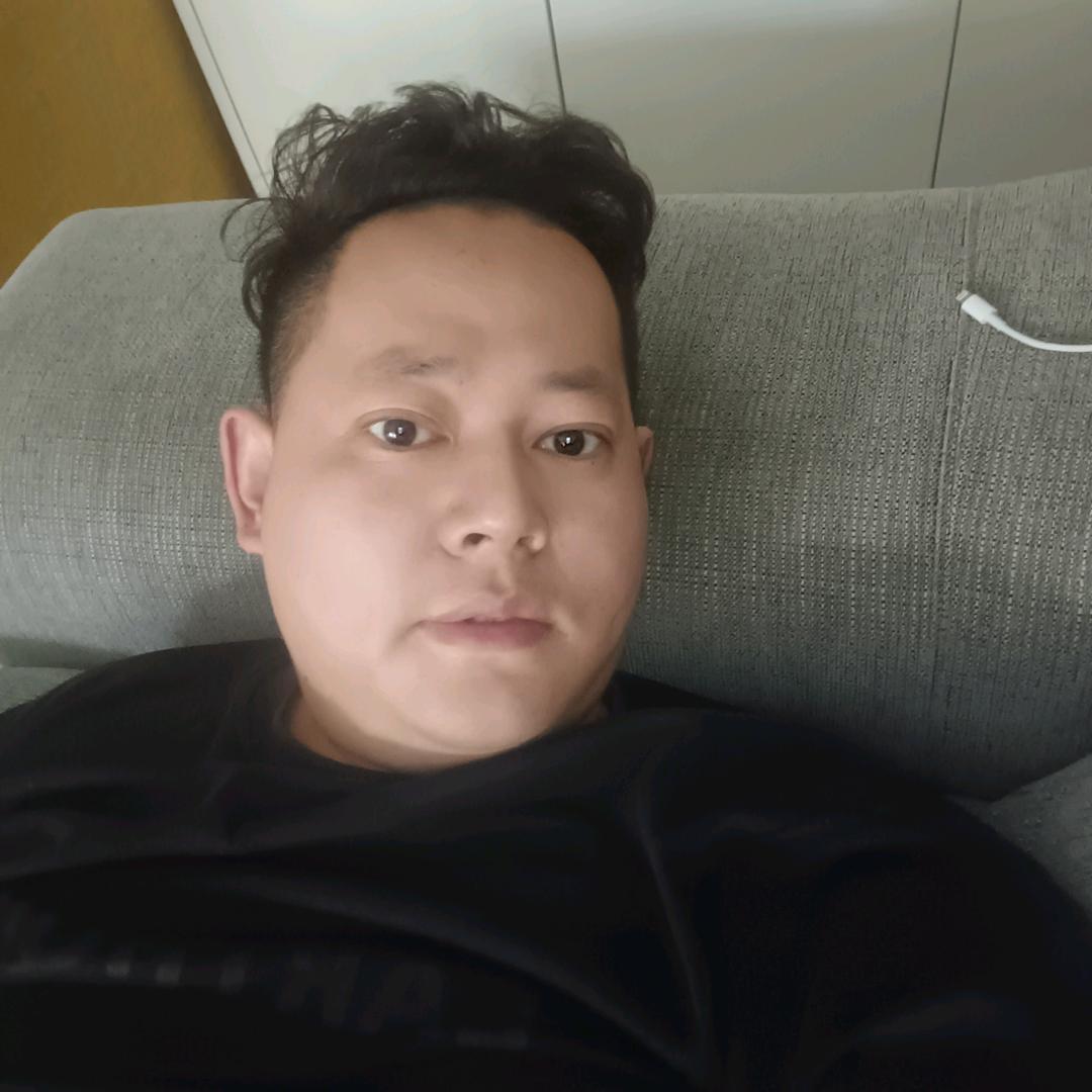 Y飞
