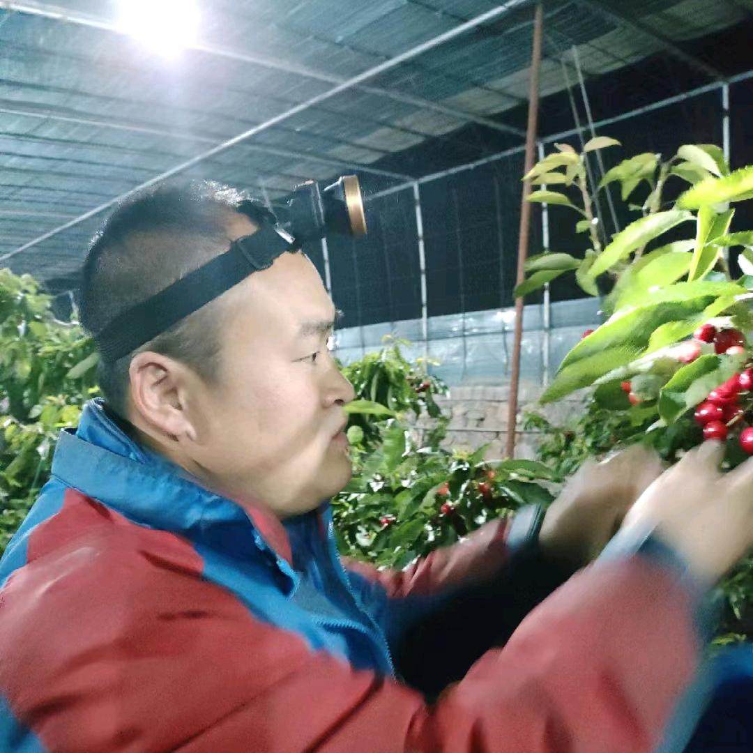 大连果之美特色水果（麻脸油桃丑桃季）