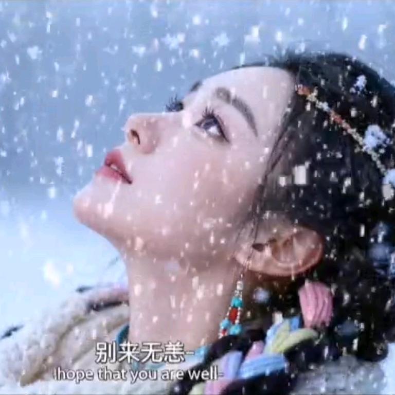 福建玉米12月18早上六点打人气票🌽