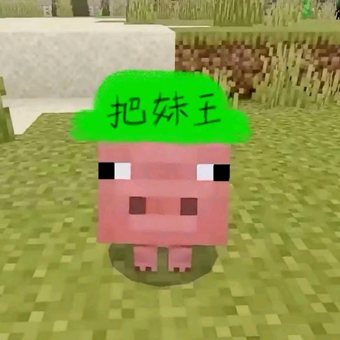 80岁老奶（求交友版）