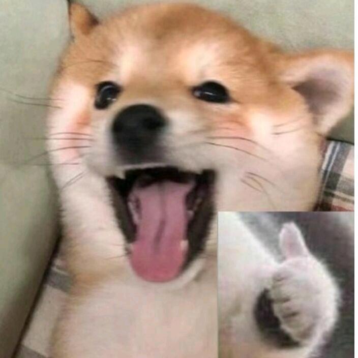 默