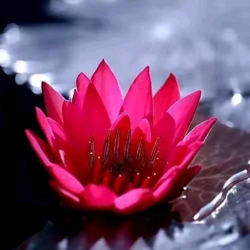 你是我心里的往事人