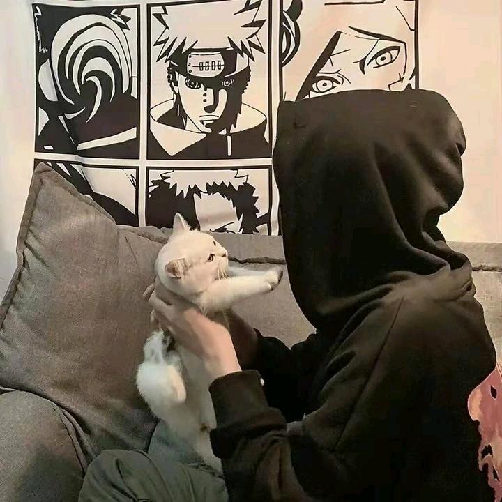 猫九✨（三角洲跑刀版）