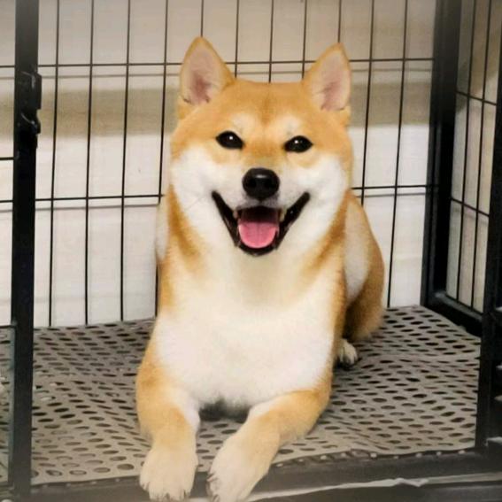 欧阳很忙