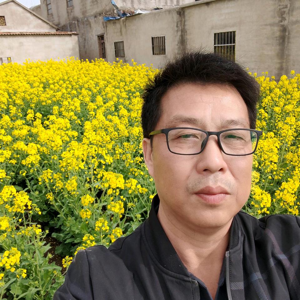陈井宏