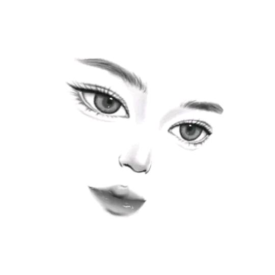 宝来猫
