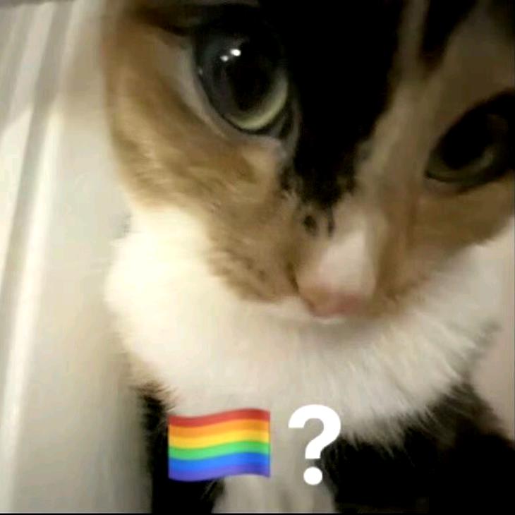 亲了999次👄还是朋友🤣