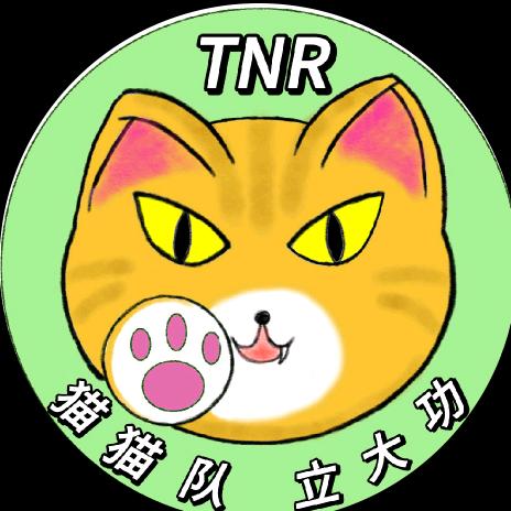 成外猫猫队（待领养版）