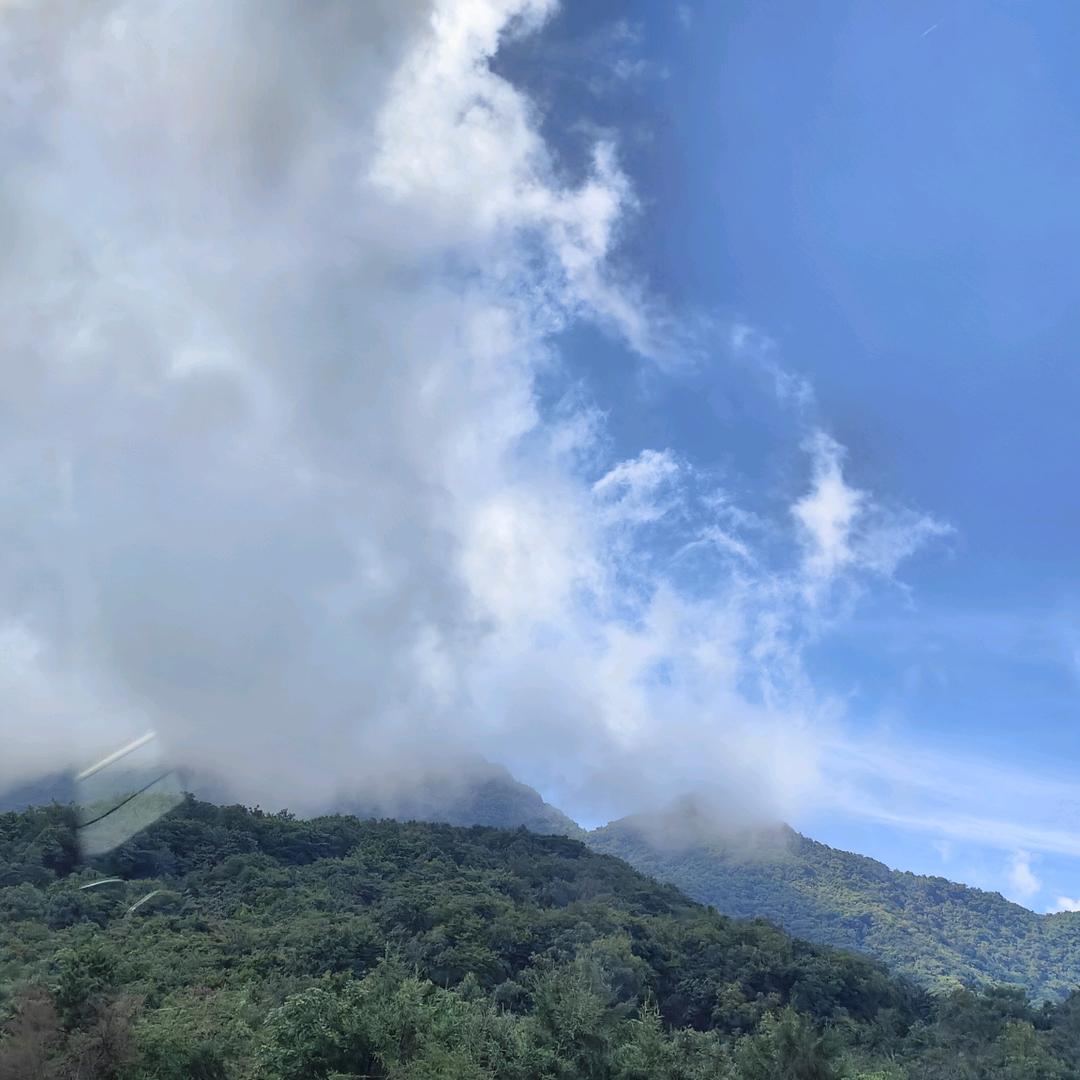 知道嘛