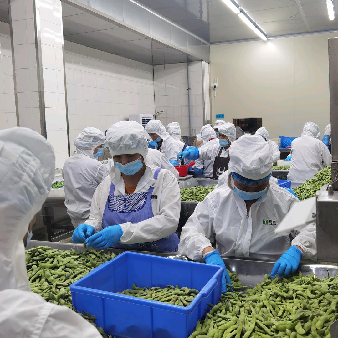 漳州腾泰食品有限公司（主营速冻果蔬）