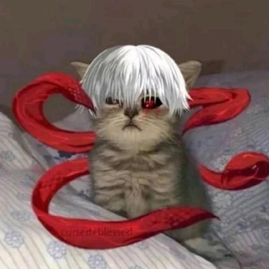 积木