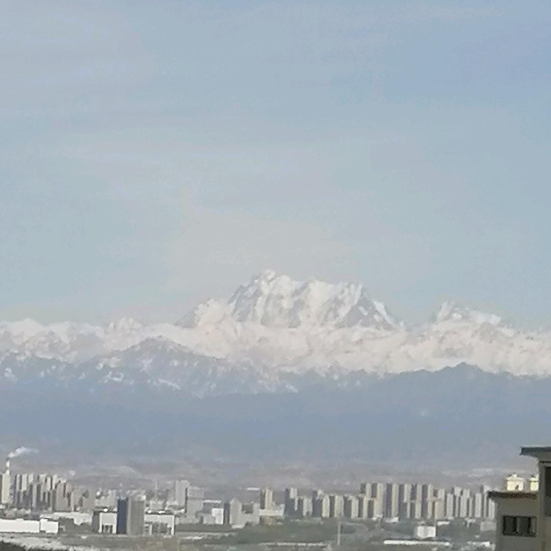 明杨