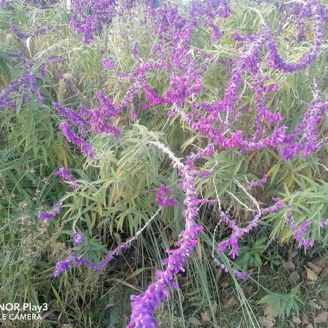 ✔‘a成功之路，