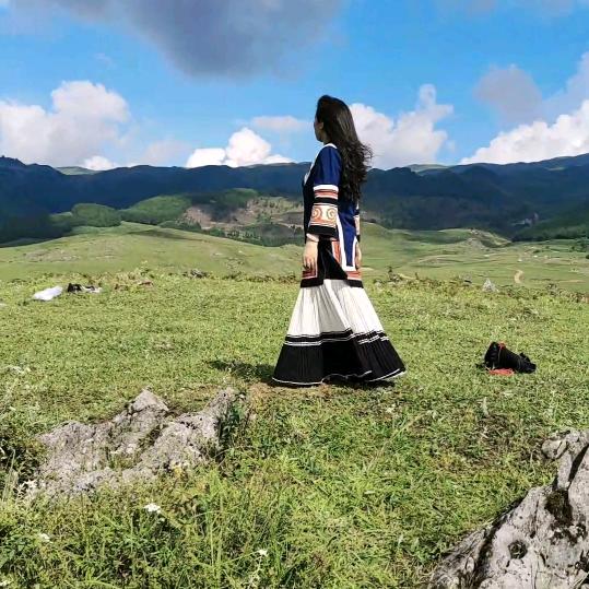 龙梅